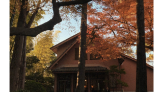 お店から紅葉を眺められる穴場の東京カフェ5選